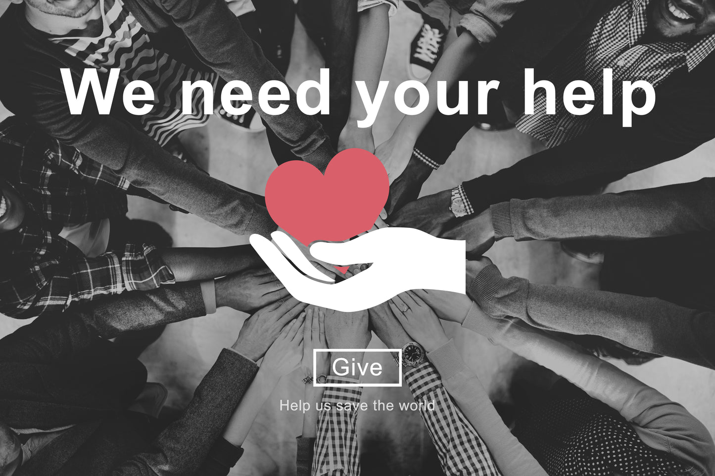 Donate Today