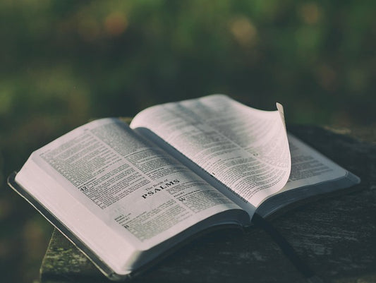 Bibles